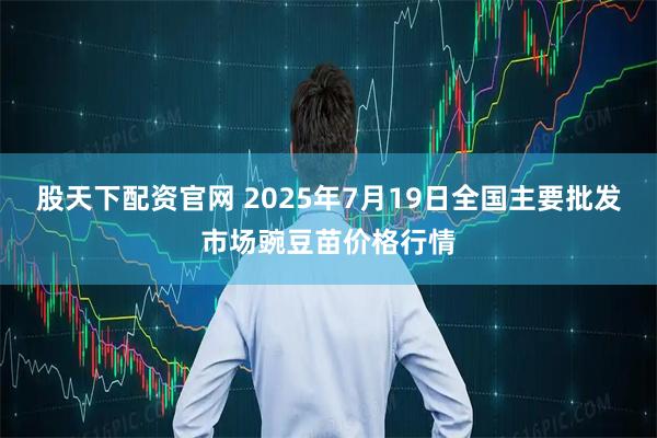 股天下配资官网 2025年7月19日全国主要批发市场豌豆苗价格行情