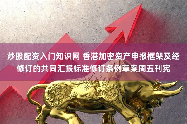 炒股配资入门知识网 香港加密资产申报框架及经修订的共同汇报标准修订条例草案周五刊宪